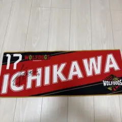 ウルフドッグス名古屋 スポーツ選手