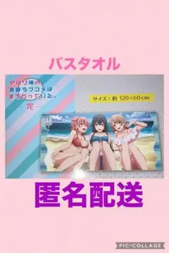 やはり俺の青春ラブコメはまちがっている。完　プレミアムバスタオル