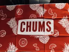 CHUMS チャムス クッションカバー ブービーバード ストライプ両面
