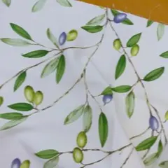 はぎれ　縦55横150