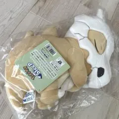 2026年最新】もっちりぬいぐるみ Pokémon Sleep おやすみカラカラの