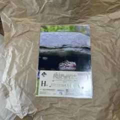 一番くじ 爬虫類&両生類 Tiny Friends vol.3 H賞