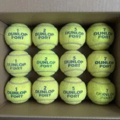 2025年最新】硬式テニスボールの人気アイテム - メルカリ