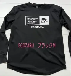 エゴザルロングTシャツ　M