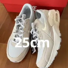 ナイキ エアマックス エクシー 25cm HV6989-025