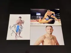 Item thumbnail for item d27fb0f5-203b-42ed-8cd6-4a1ce098c5ad