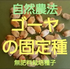 チョモピー様 リクエスト 2点 まとめ商品