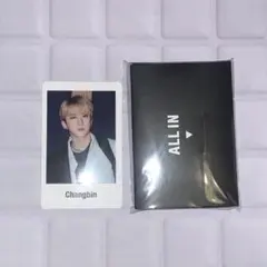 Stray Kids スキズ チャンビン ALL IN トレカ