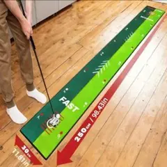 퍼터 매트 30cm x 250cm 투웨이 퍼팅 매트 슬림형