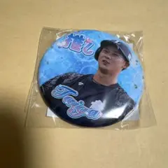 埼玉西武ライオンズ　推しガチャ　vol3 缶バッジ　平沢大河