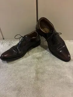 REGAL 21GR ストレートチップ ダークブラウン 25 レザー ビジネス