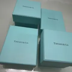 Tiffany & Co. 空箱4個セット、ポーチ等セット