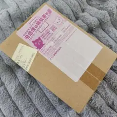 レイジングサーフ　未開封ボックス　box シュリンク付