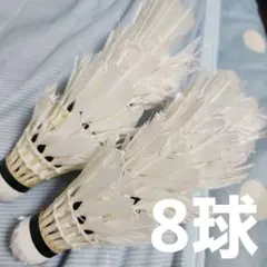 2026年最新】バドミントン シャトル ヨネックス ニューオフィシャルの