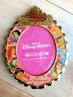 ディズニーランド　ディズニーリゾート　プリンセス　フォトフレーム