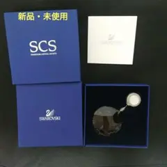 2026年最新】SWAROVSKI 2009 SCSの人気アイテム - メルカリ