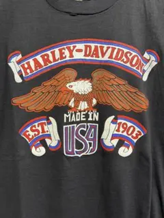 スペシャルビンテージ　80s VINTAGE HARLEY ハーレー　Tシャツ