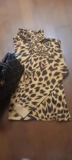 Item thumbnail for item 11b1eae3-772a-4780-a49c-9a69b2fdc50d