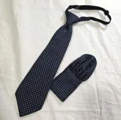 Item thumbnail for item 1c786ae3-81d6-410f-bff2-5c06096c508b