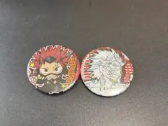 僕のヒーローアカデミア 切島鋭児郎 缶バッジ 2種セット