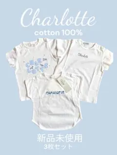 Item thumbnail for item c25a4f4f-9fde-4672-81ac-2666b432a9ba