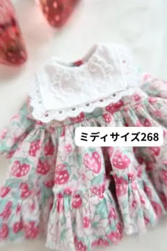 Item thumbnail for item 804cc9e4-d865-4a4c-8180-596a3f1b9c7c