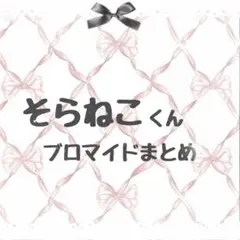 【割引有】めろぱか そらねこくん ブロマイド