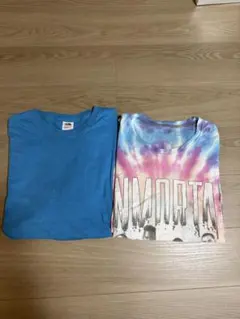 フルーツオブザルーム　Aventura Tシャツ 2枚セット タイダイ柄
