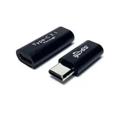 Access 10Gbps 2個セット USB Type C 延長アダプタ