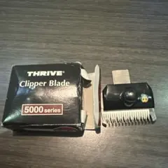 Item thumbnail for item 3d1b29bd-286f-4a24-bb7a-510fcd170385