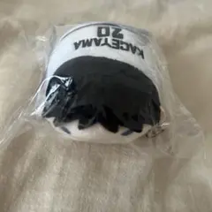 ハイキュー 影山飛雄 のるキャラ マスコット