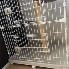 Item thumbnail for item fcbe04a9-817c-4257-ab36-a7ae62e24b9b