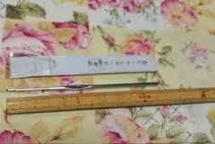 Item thumbnail for item 2d5c327c-0d0b-4a69-a3f1-a2e393070189