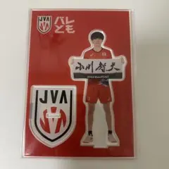 小川智大　ネーションズリーグ2024 色紙　アクリルキーホルダー　ステッカー 小川智大 ネーションズリーグ2024 色紙 アクリルキーホルダー