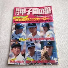 「輝け 甲子園の星」1985年　NO.5