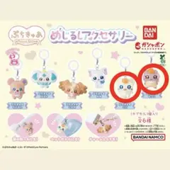 ぷちきゅあ めじるしアクセサリー ナッツ ココ