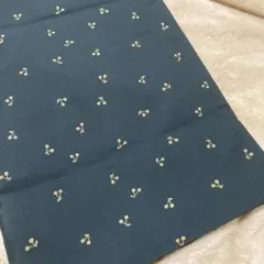 Item thumbnail for item 5daa918f-8e32-47f0-b105-4cdaf2fe8647