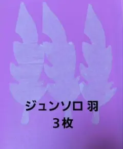 SEVENTEEN 落下物 NEW アンコン 羽