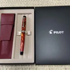 RT-1409555994様専用】PILOT 万年筆カスタムヘリテイジ91 - メルカリ