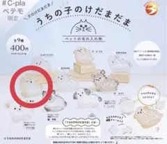 うちの子のけだまだま　柴犬