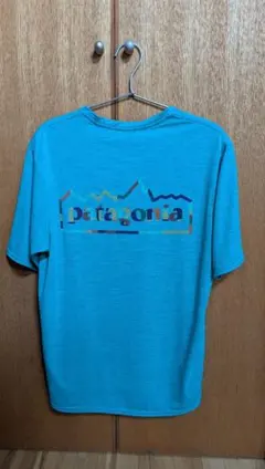キャプリーンクール　デイリー　グラフィック　subtidalblue パタゴニア