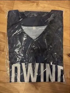 福井ブローウィンズ