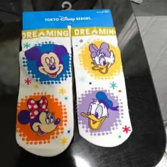 ソックス　2足　ディズニーリゾート　ミッキー　ミニー　靴下　ドナルド　デイジー