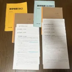 2025 駿台 数学特講(IAIIB、ⅢC) 杉山先生 2026年最新】数学特講 杉山の人気アイテム - メルカリ