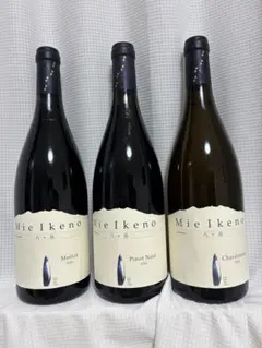 ミエイケノ メルロー 八ヶ岳 Mie Ikeno Merlot 2023 - メルカリ
