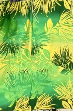 Item thumbnail for item 583617f4-c2f9-4953-a019-5f09fe7fb084