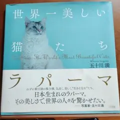 Item thumbnail for item 85e612ee-f8ed-4e70-9a0b-c4851be7364d