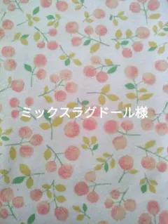 ミックスラグドール422様 リクエスト 2点 まとめ商品