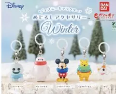 ディズニーキャラクター　めじるしアクセサリー　スノーギース　プーさん
