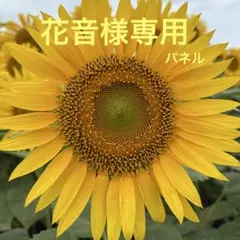 【花音様専用】パネル 8/28